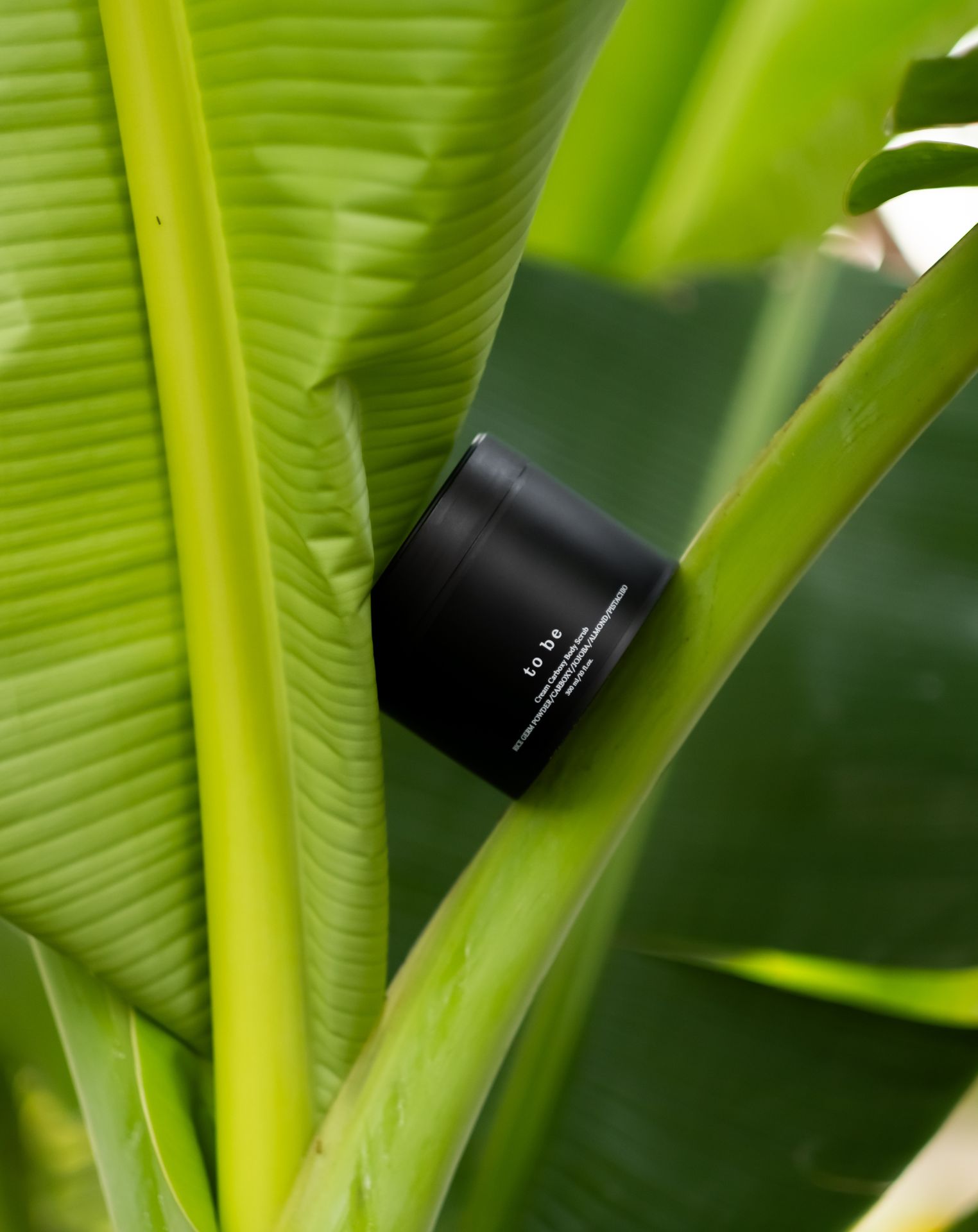 Улюблені продукти команди «to be»