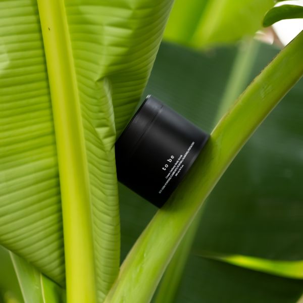 Улюблені продукти команди «to be»