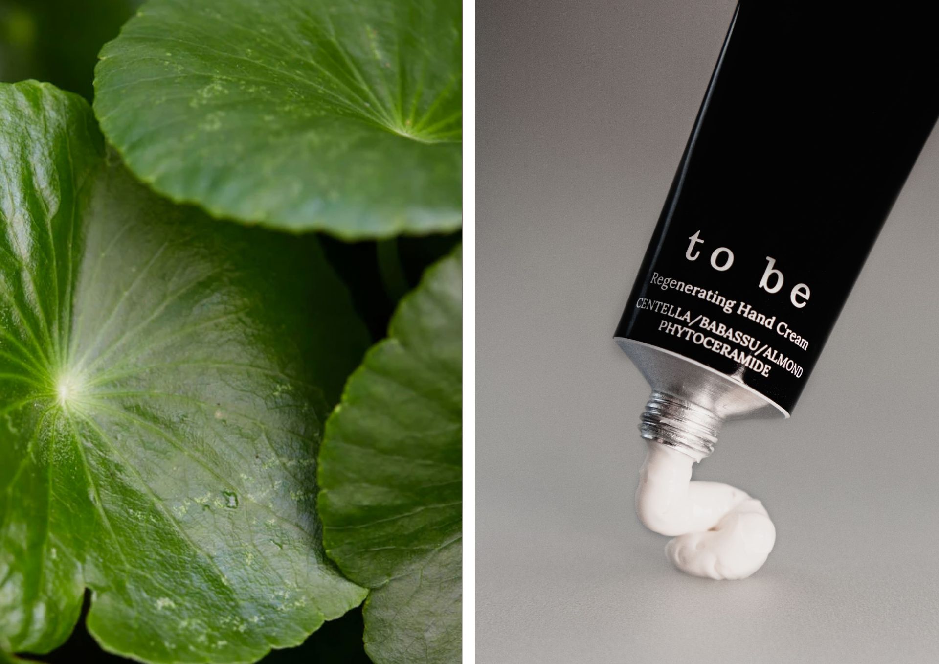 Чому шкіра «втомлюється» і як їй допомогти — інгредієнти, що працюють