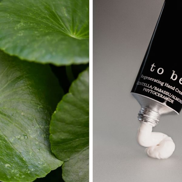 Чому шкіра «втомлюється» і як їй допомогти — інгредієнти, що працюють